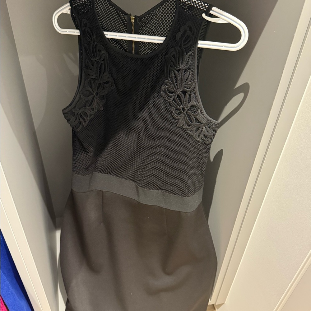Ashley Graham Black Mesh Mini Dress